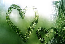 法甲豪门交锋，马赛对阵里昂